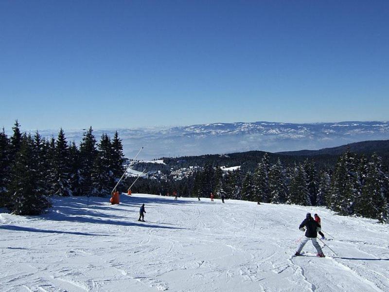 L&N Apartmani Kopaonik-Milmari Resort Kültér fotó