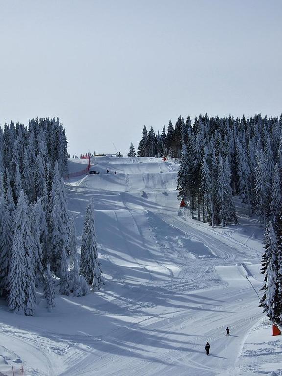 L&N Apartmani Kopaonik-Milmari Resort Kültér fotó