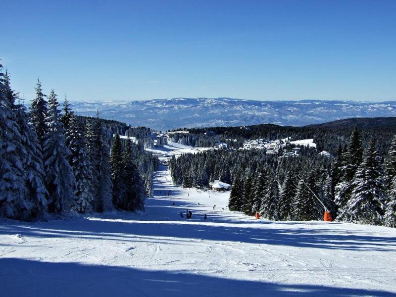 L&N Apartmani Kopaonik-Milmari Resort Kültér fotó